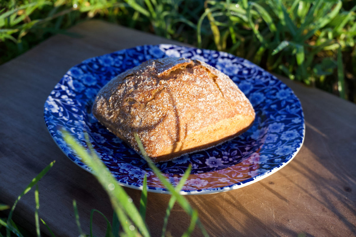 Buns – Broodje