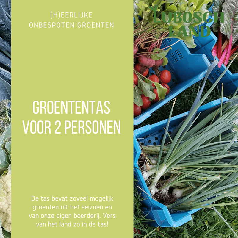 groententas 2 personen Lubosch Land