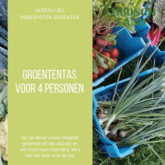 groententas 4 personen Lubosch Land