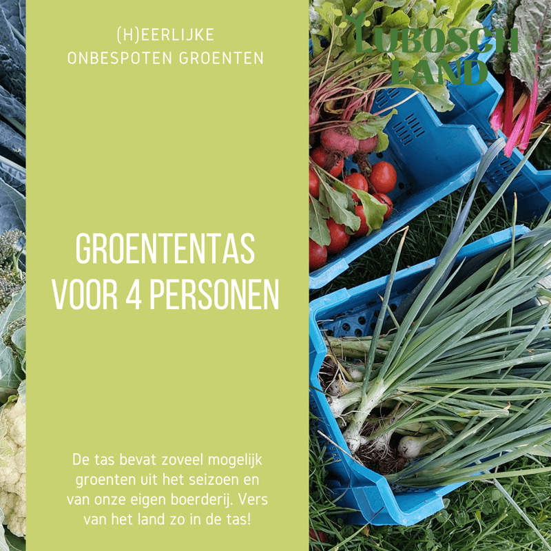 groententas 4 personen Lubosch Land