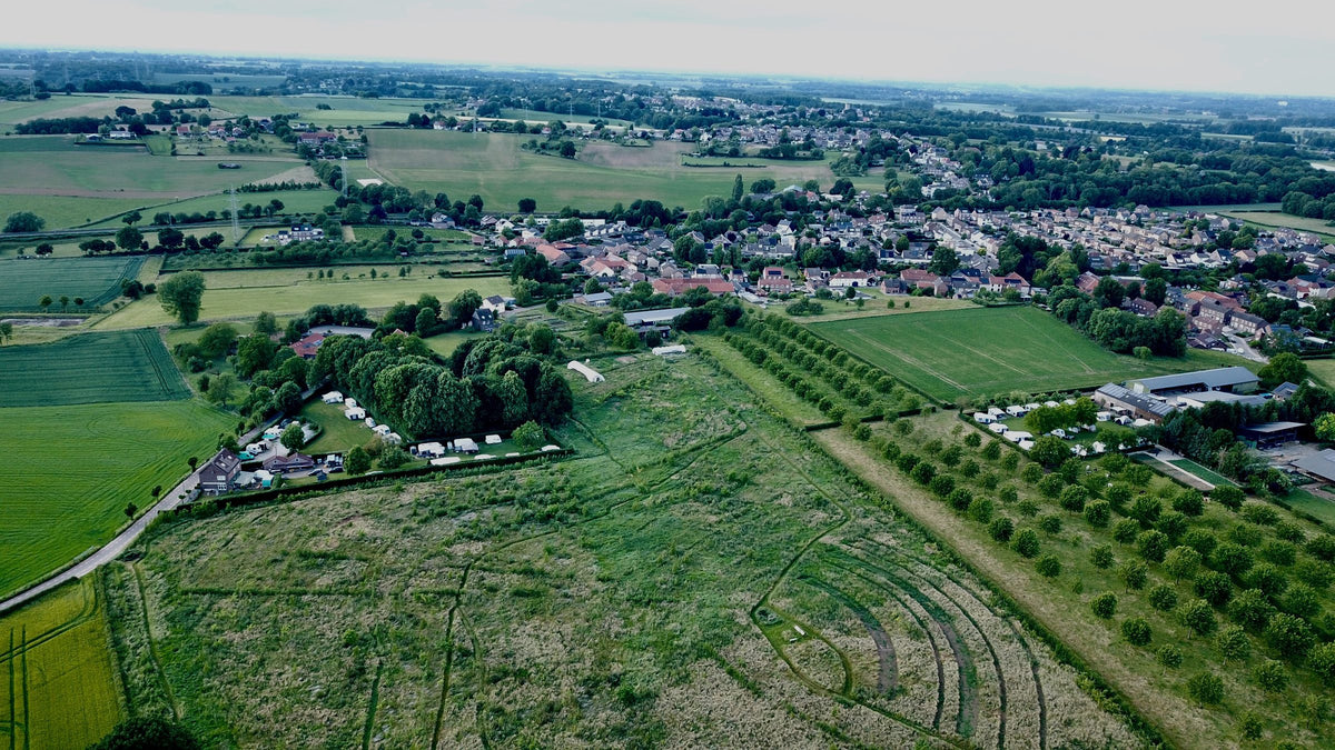 Luchtfoto van het jonge voedselbos van Lubosch Land met rijen bomen en het dorp Ransdaal op de achtergrond