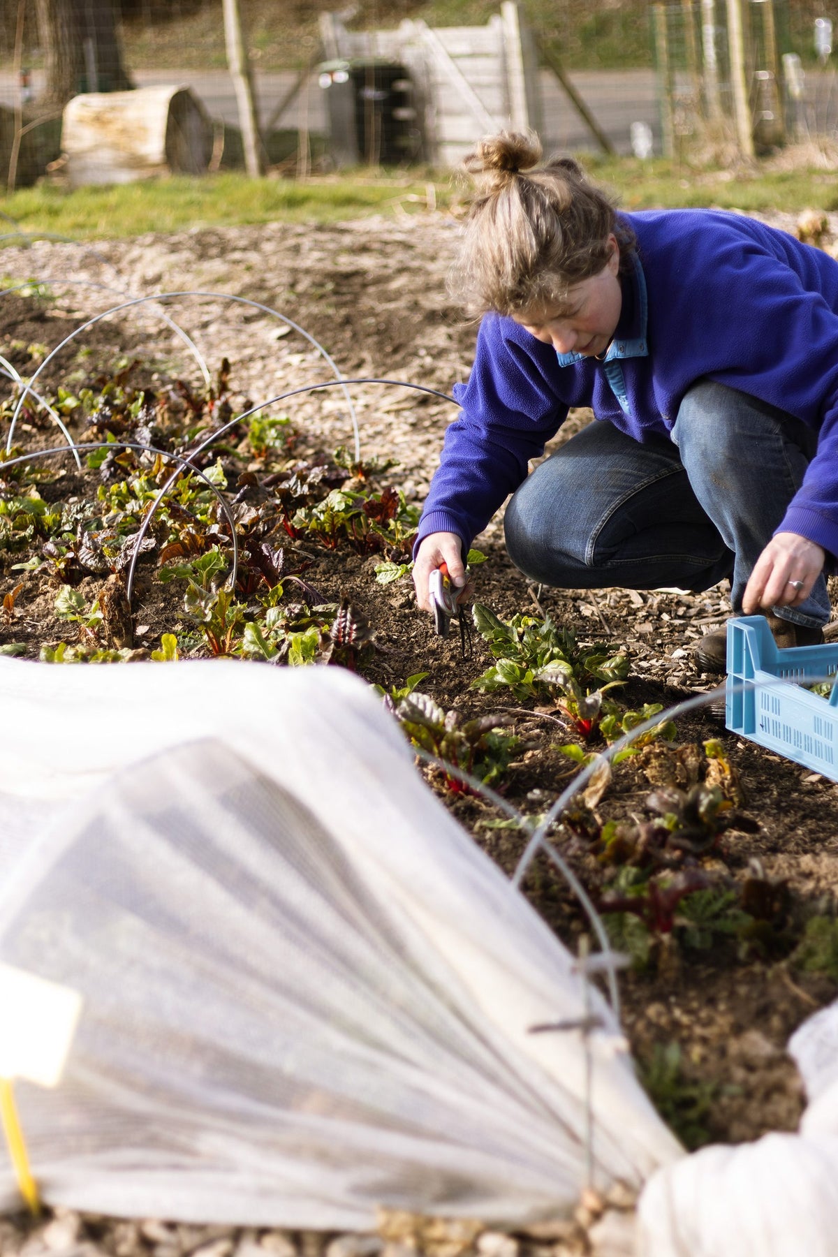 Aan het werk tussen de bedden van de tuinderij