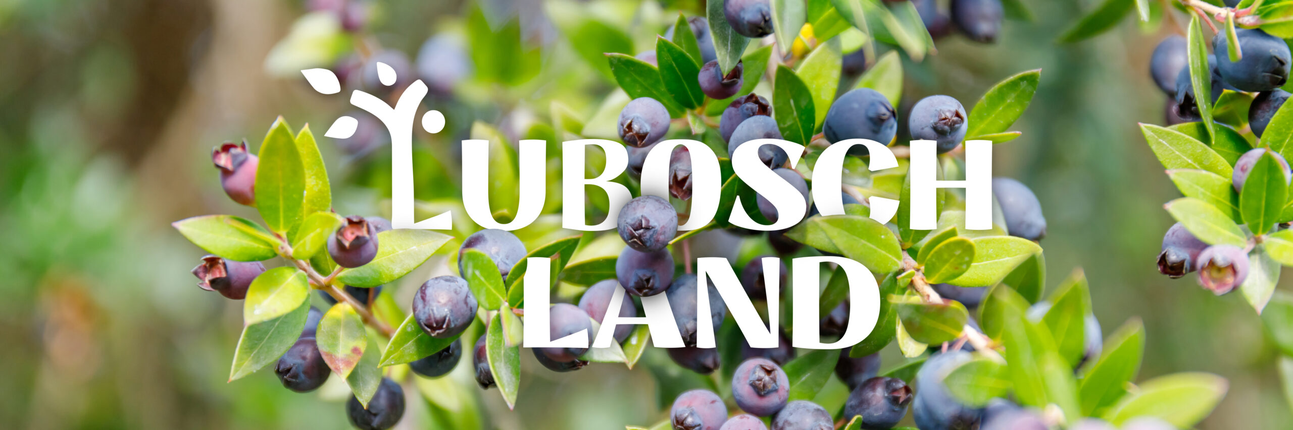 Lubosch Land – Een natuurinclusief agrarisch familiebedrijf gevestigd ...