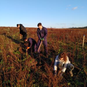 Bomen plant dag - zaterdag 24 januari 2026