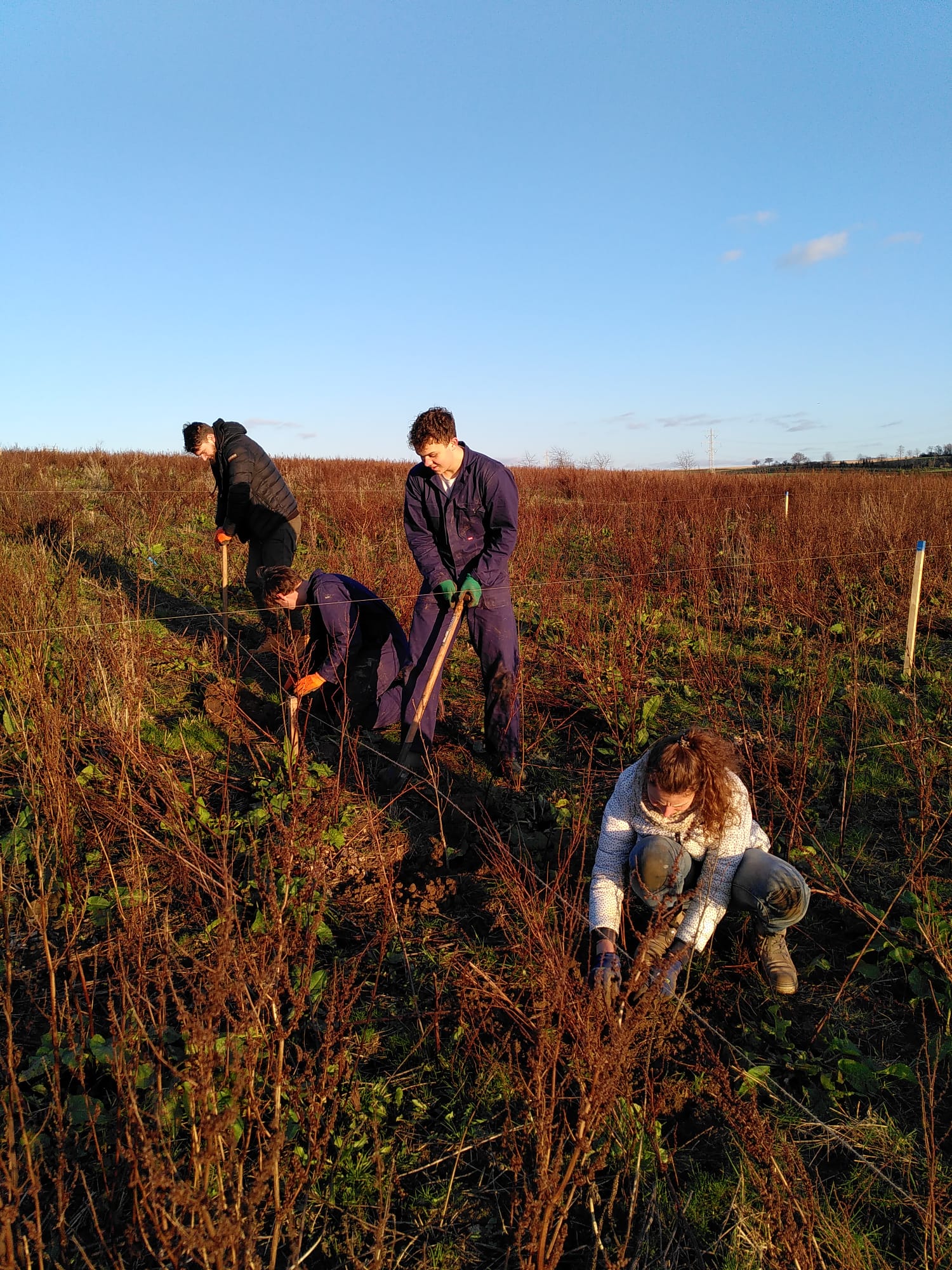 Bomen plant dag - zaterdag 24 januari 2026