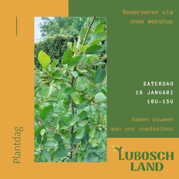 Plantdag voedselbos Lubosch Land