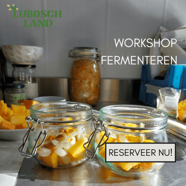 Workshop fermenteren op Lubosch Land