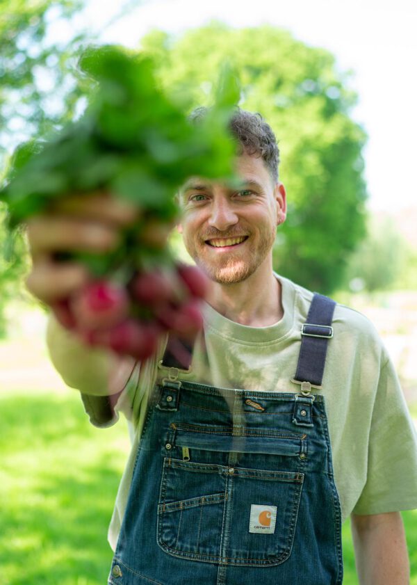 Moestuin cursus