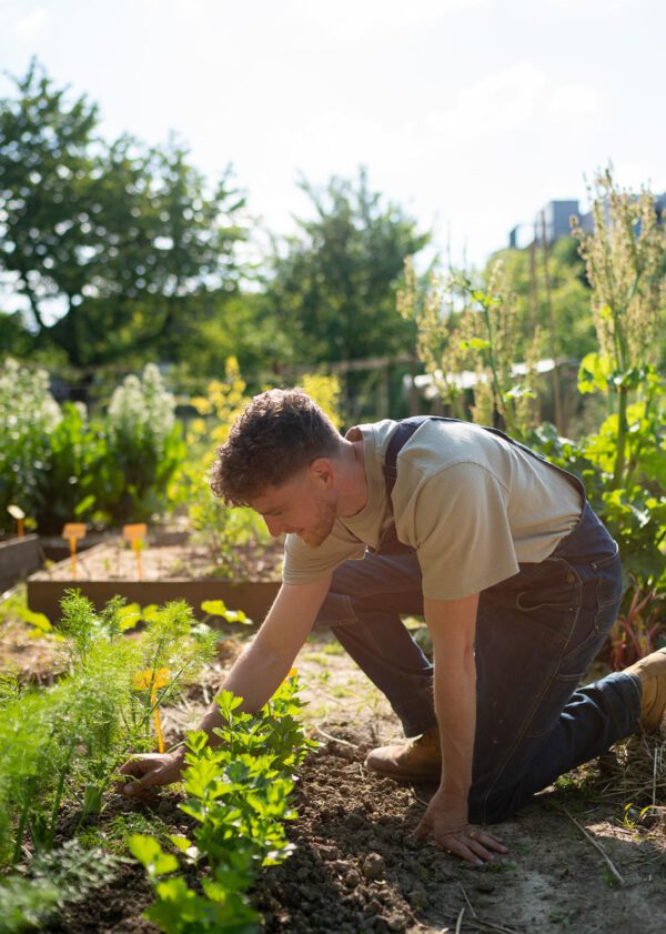 De Moestuinman