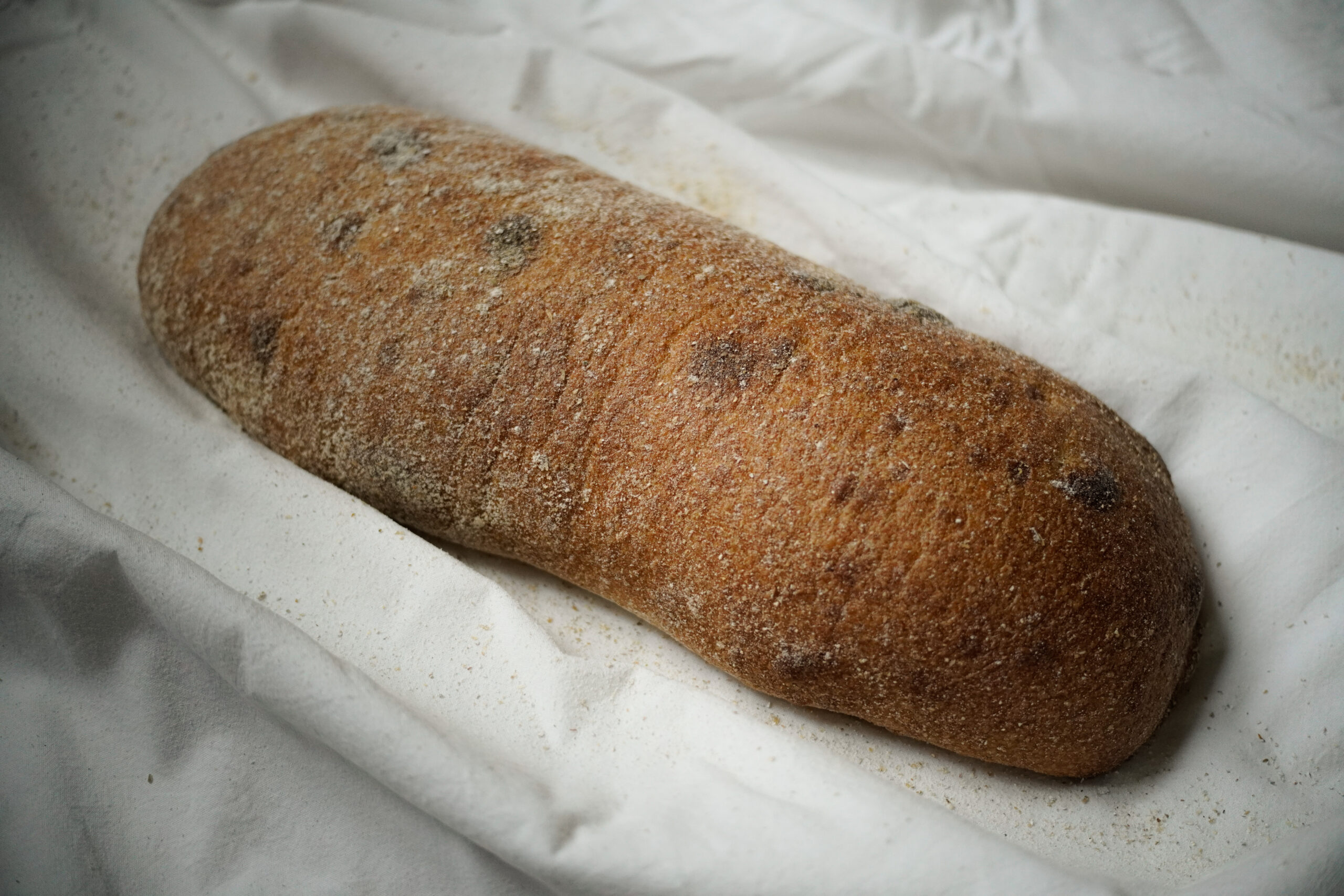 Ciabatta